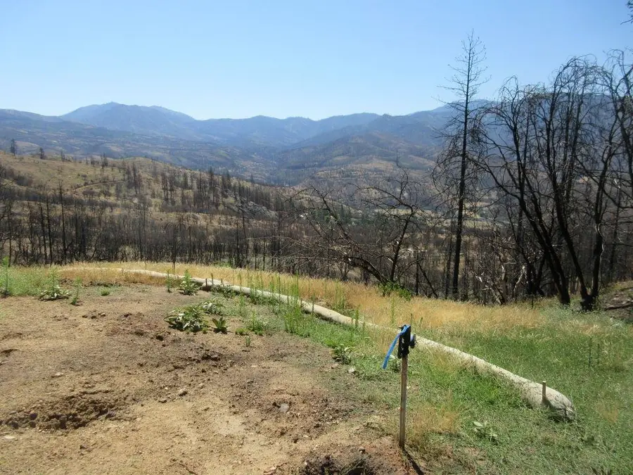 1519 Oak Knoll Rd, Klamath River, CA 96050 - Image #3