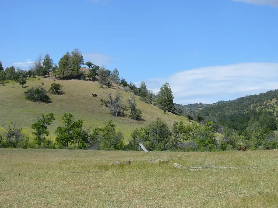 Just off Camp Ck Rd, Hornbrook, CA 96044 - Image #2