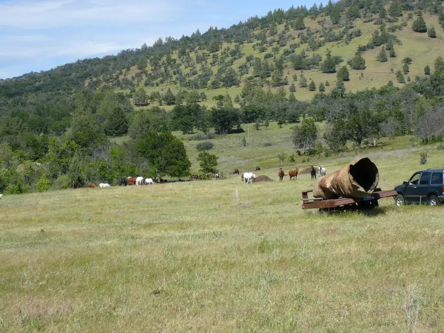 Just off Camp Ck Rd, Hornbrook, CA 96044 - Image #3