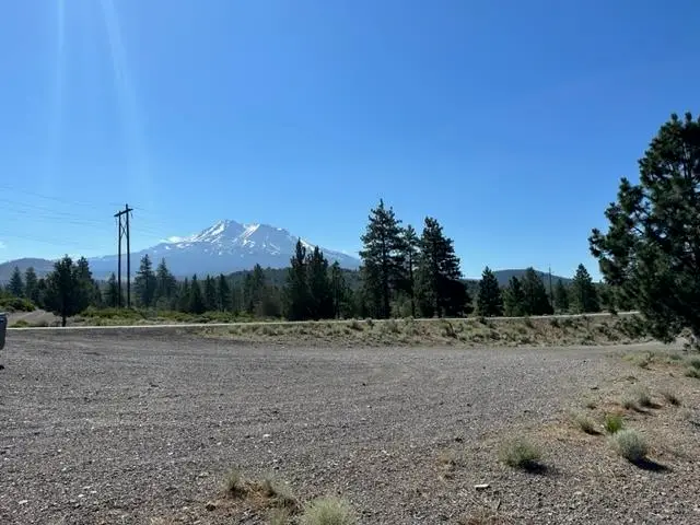 Blk 1 Lot 10 Big Springs Road, Weed, CA 96094 - Image #3