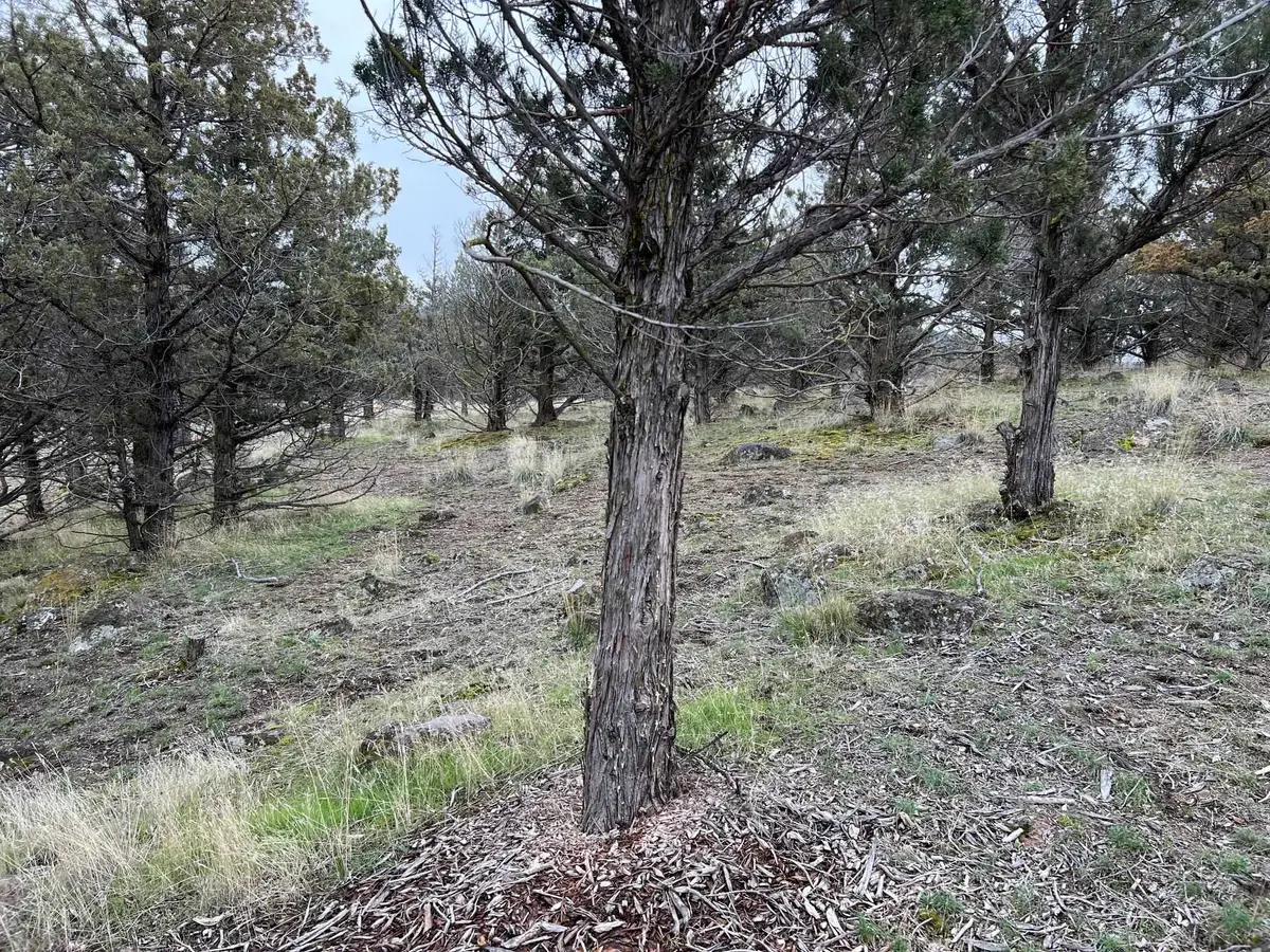 9-1 Lot 76 Saddlehorn, Weed, CA 96094 - Image #1