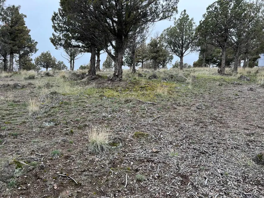 9-1 Lot 76 Saddlehorn, Weed, CA 96094 - Image #3