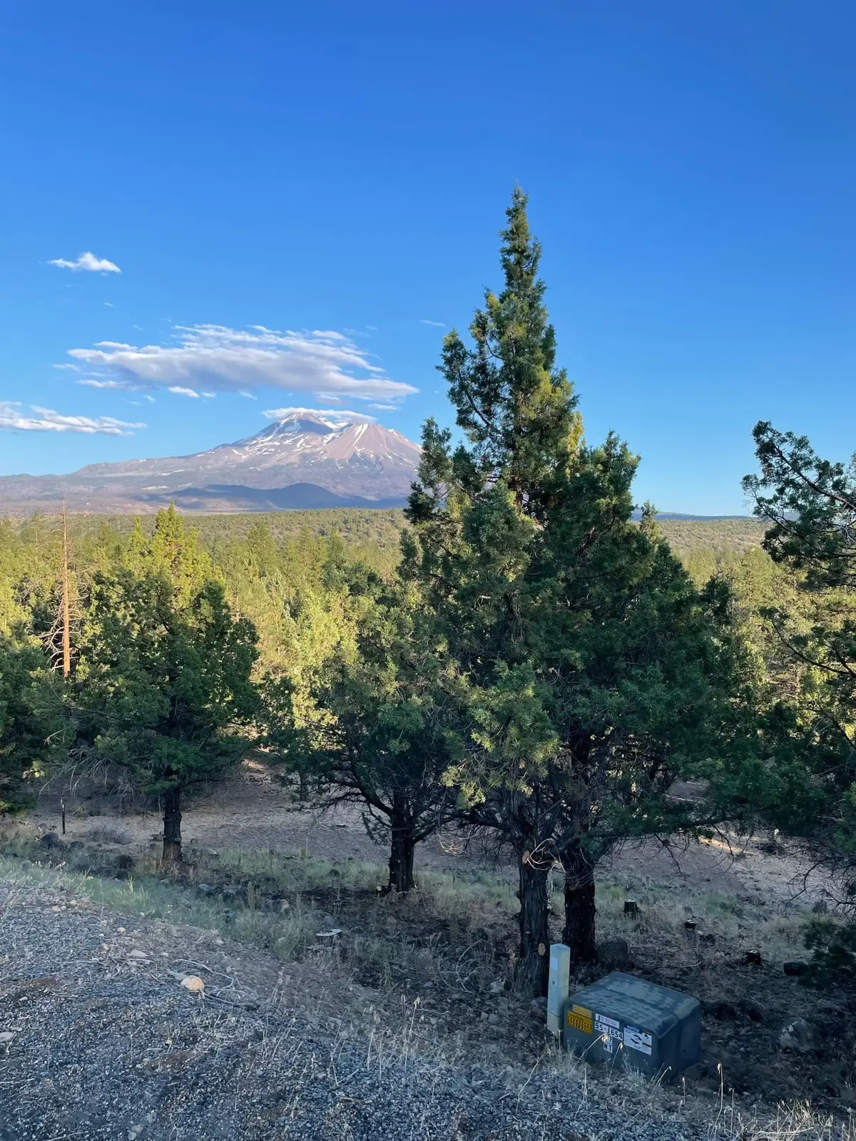 Lot 90 Juniper Peak, Weed, CA 96094 - Image #1