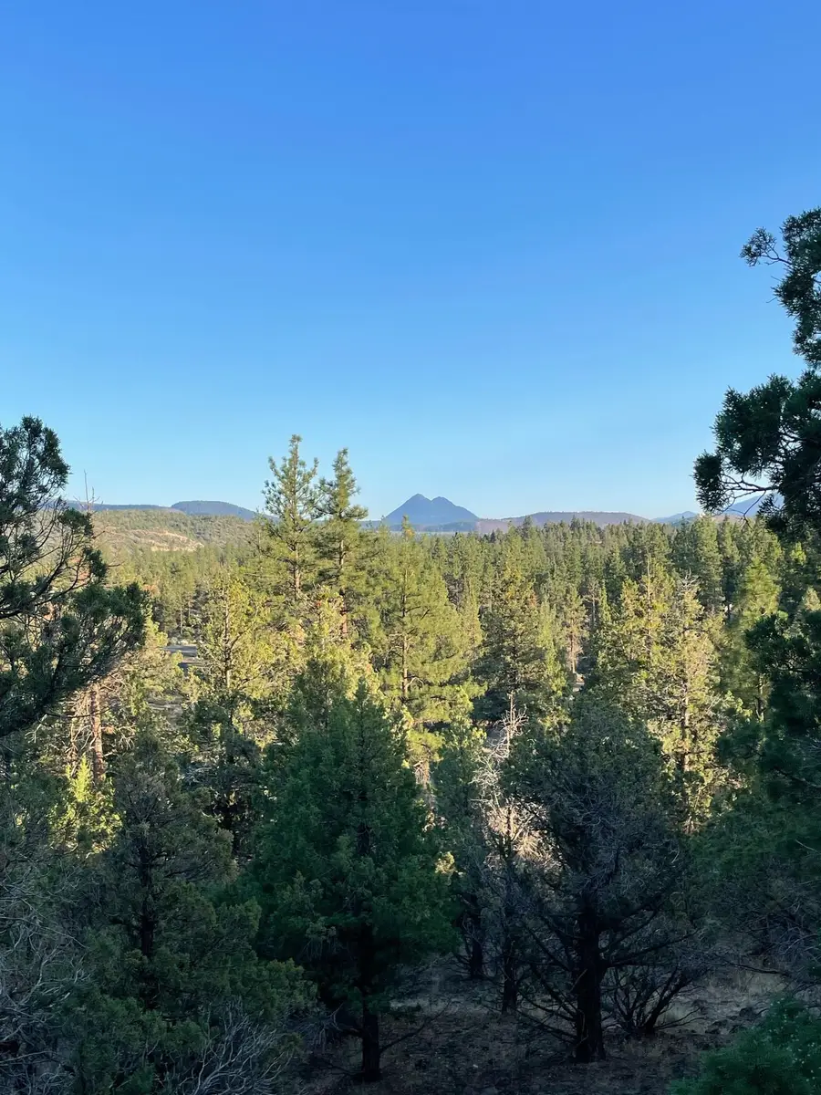 Lot 90 Juniper Peak, Weed, CA 96094 - Image #3