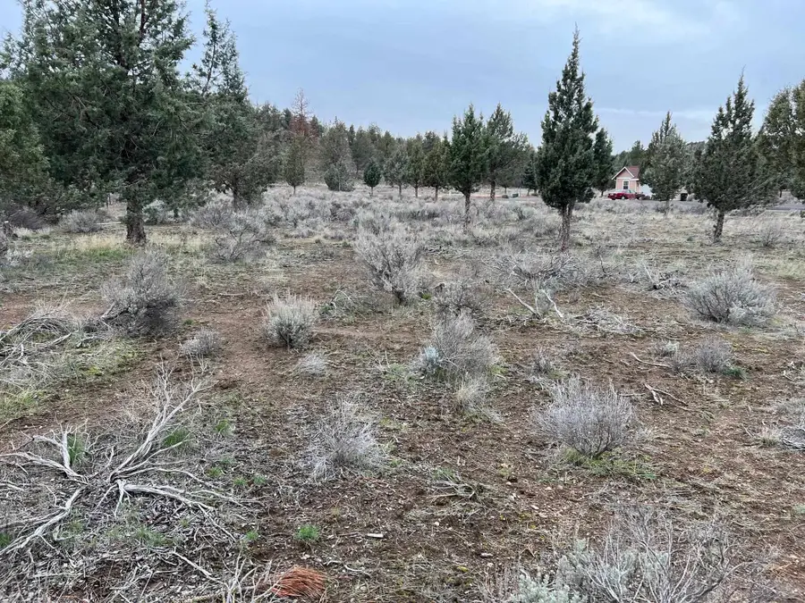 9-1 Lot 204 Mountain Wood, Weed, CA 96094 - Image #2