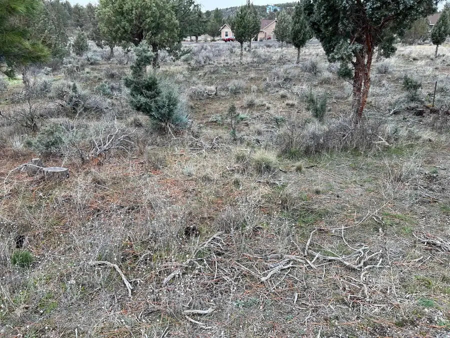 9-1 Lot 204 Mountain Wood, Weed, CA 96094 - Image #3