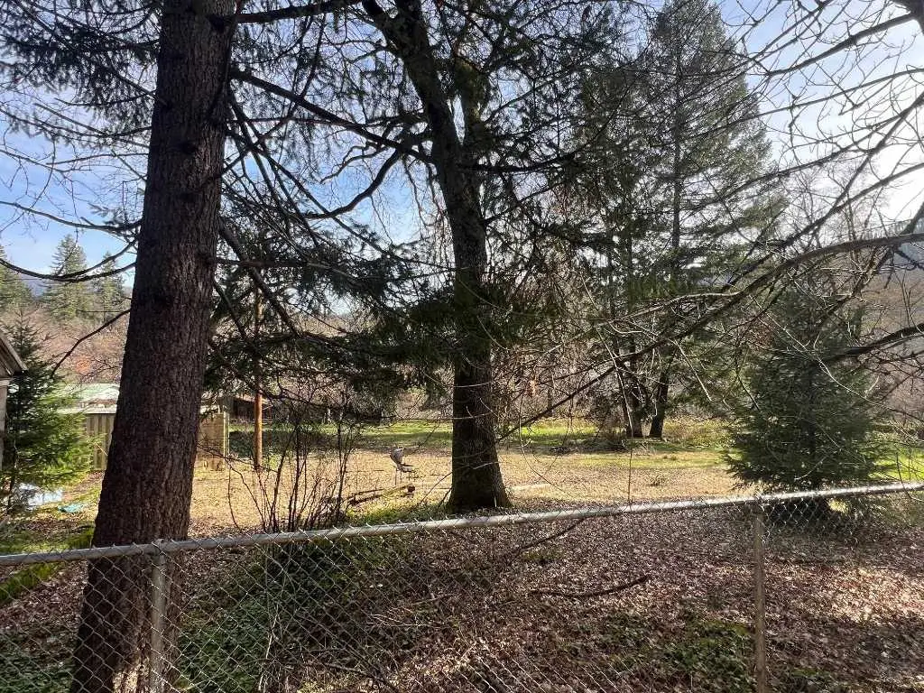 308 Buckhorn Road, Happy Camp, CA 96039 - #1