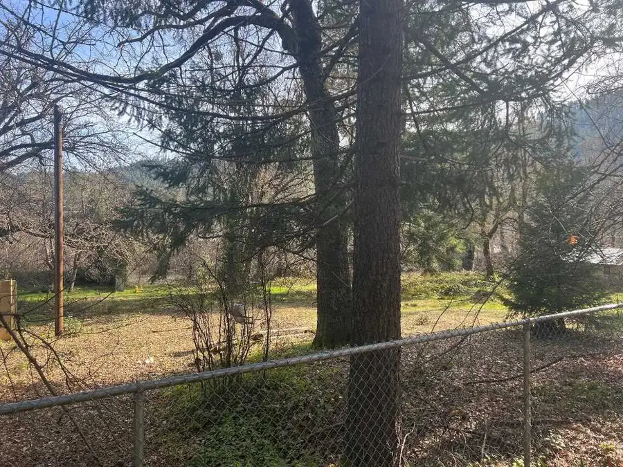 308 Buckhorn Road, Happy Camp, CA 96039 - #3