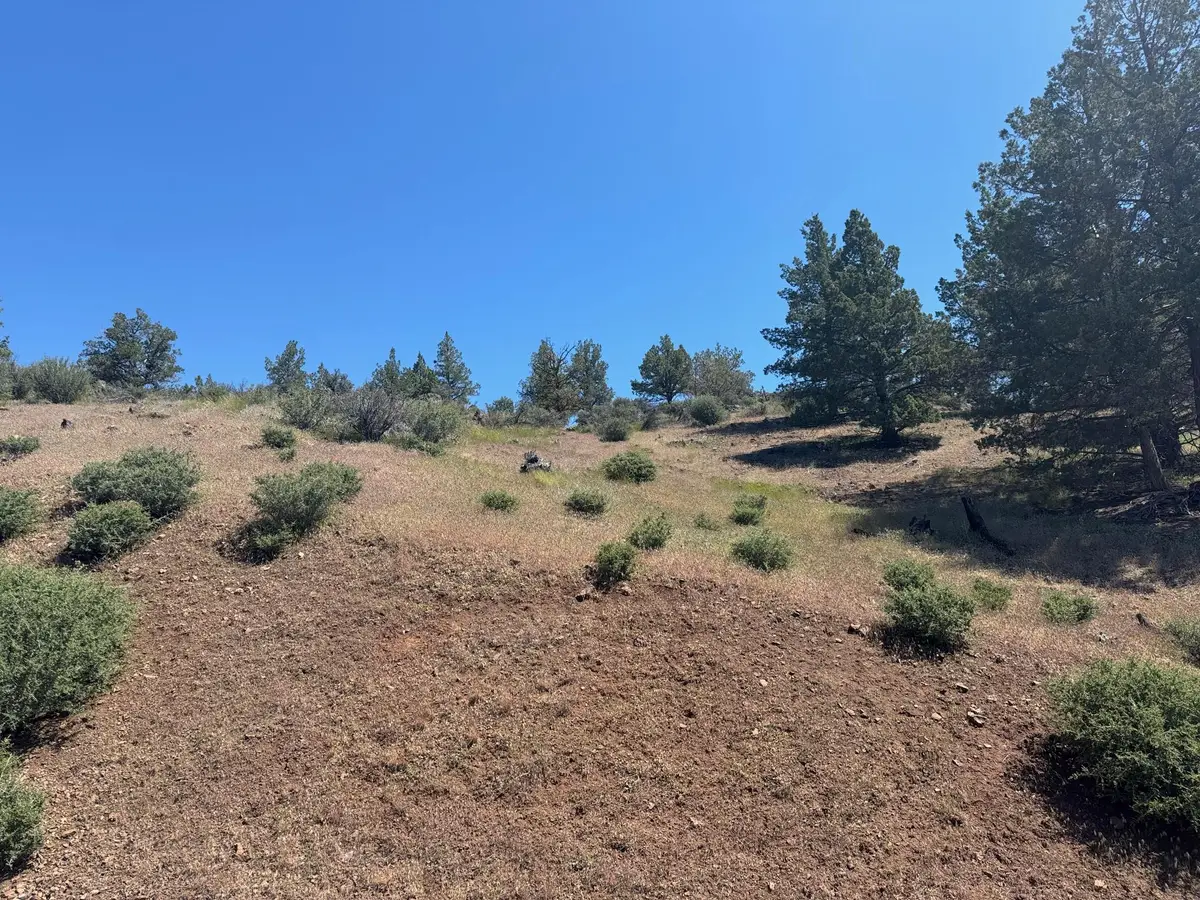 Unit 4 Lot 119 Desavado Road, Montague, CA 96064 - Image #1