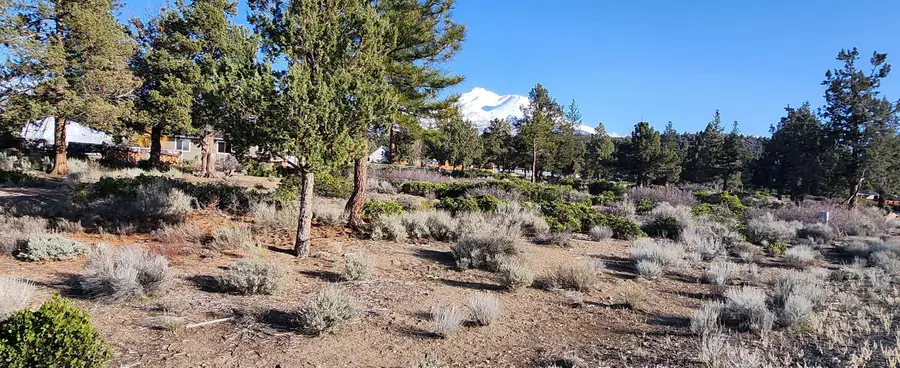 Lot 273 Sherwood, Weed, CA 96094 - Image #3