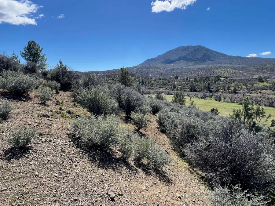 Unit 2 Lot 57 Dennis Pl, Hornbrook, CA 96044 - Image #2