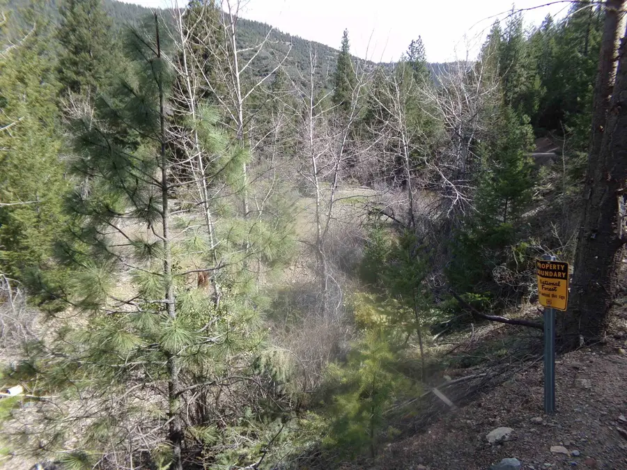 00 McAdams Ck Rd, Fort Jones, CA 96032 - Image #2