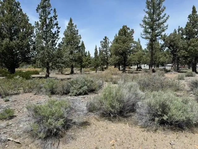8-1 Lot 160 Woodside Rd, Weed, CA 96094 - Image #3