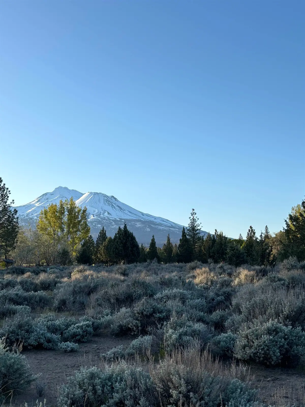 Unit 5 Lot 94 Lake Shastina, Weed, CA 96094 - Image #1