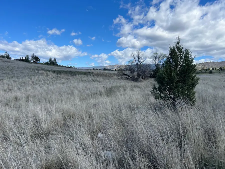 Unit 5 Lot 55 Leopard Ln, Montague, CA 96064 - Image #3