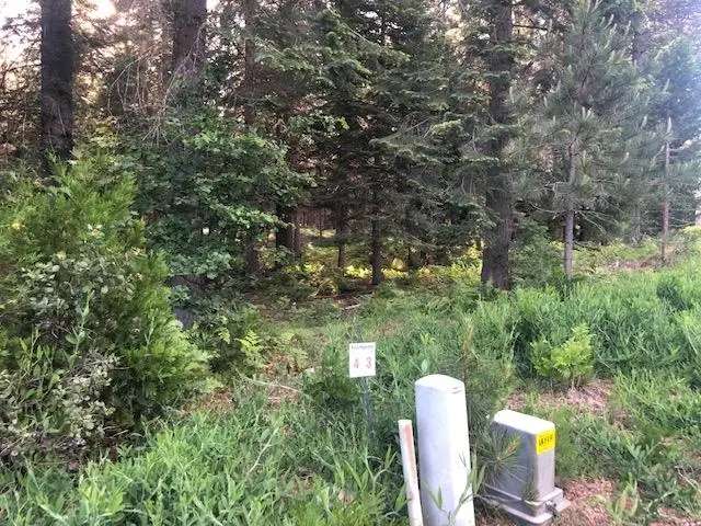 3 Old Mill Dr., McCloud, CA 96057 - Image #1