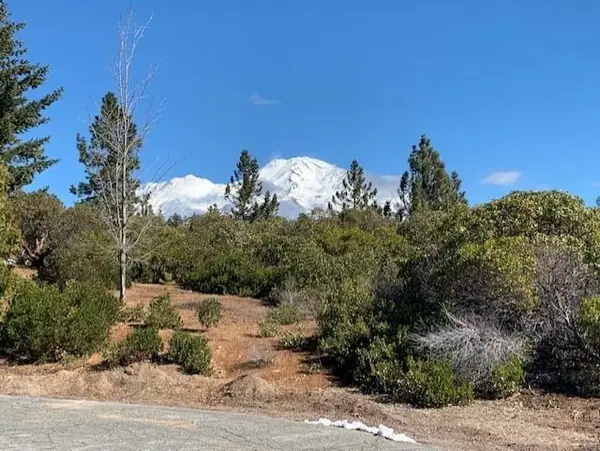 Lot 8 Twin View Ct., Mt Shasta, CA 96067