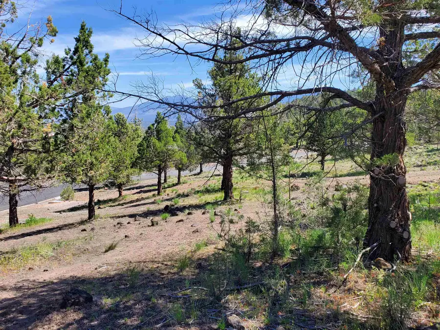 9-2 Lot 266 Golden Hill, Weed, CA 96094 - Image #3