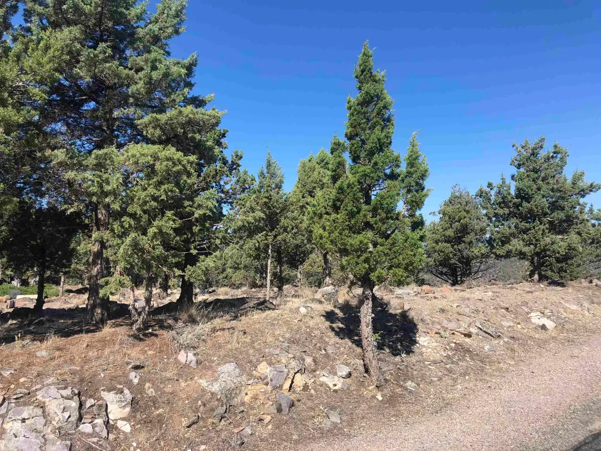 9-2/63 Stonecrest Dr., Weed, CA 96094 - Image #1