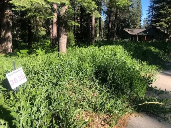 36 Mill House Way, McCloud, CA 96057