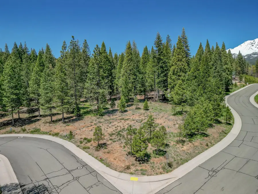 37 Panther Meadow Dr, McCloud, CA 96057 - Image #3