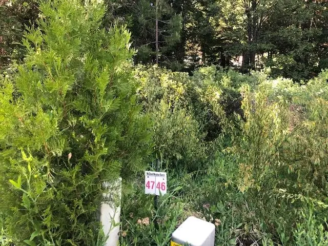 46 Panther Meadow, McCloud, CA 96057 - Image #1