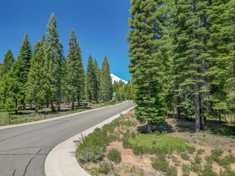 46 Panther Meadow, McCloud, CA 96057 - Image #3