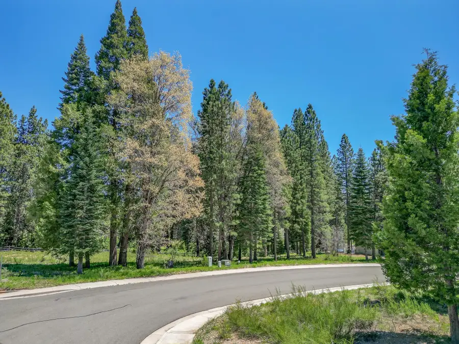 47 Panther Meadow Dr, McCloud, CA 96067 - Image #3