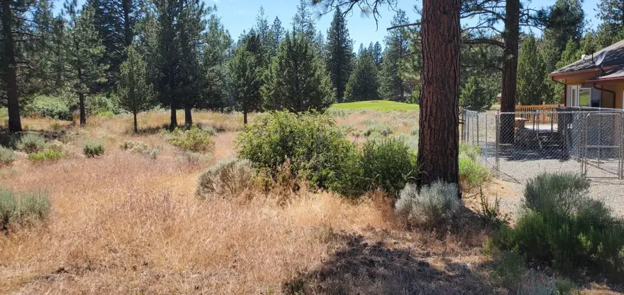 Lot 205 Unt 5-3 Douglas Ct., Weed, CA 96094 - Image #2