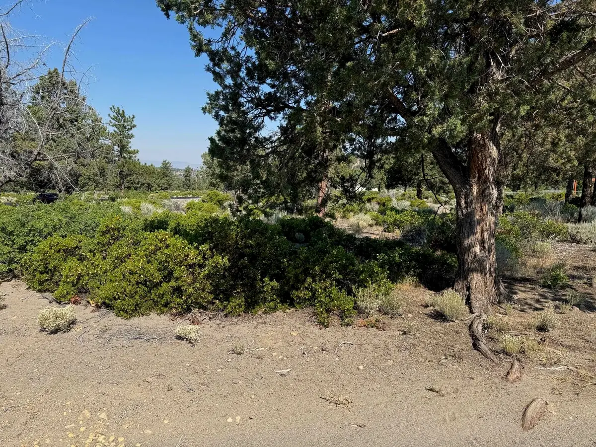 8-1 Lot 276 Sherwood Road, Weed, CA 96094 - Image #1
