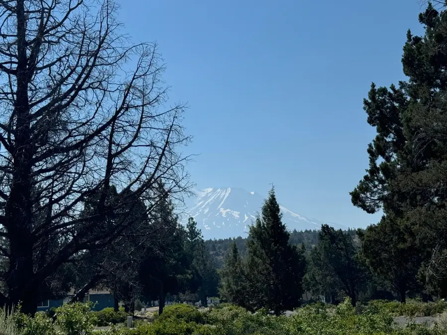 8-1 Lot 276 Sherwood Road, Weed, CA 96094 - Image #3