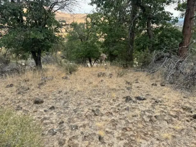 Lot 250 Coyote, Hornbrook, CA 96044 - Image #2