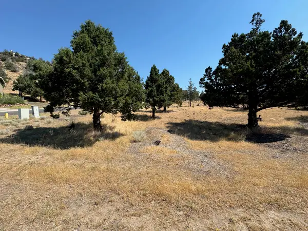 9-2 Lot 96 Shoreline Drive, Weed, CA 96094
