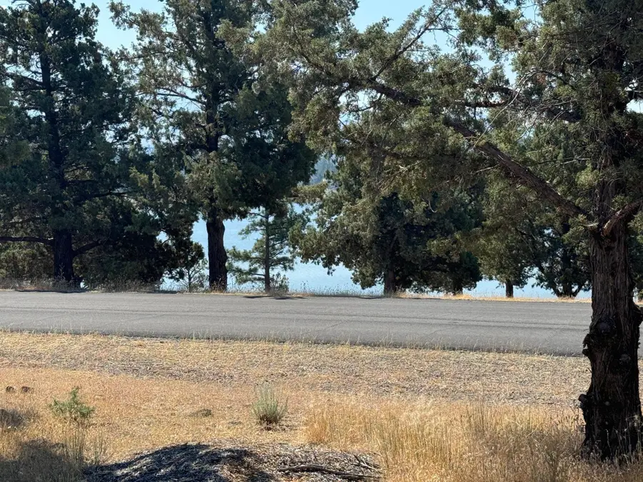 9-2 Lot 96 Shoreline Drive, Weed, CA 96094 - Image #3