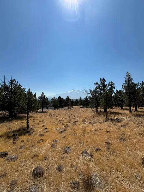 Unit 9-2 Lot 89 Mountain Wood Dr, Weed, CA 96094