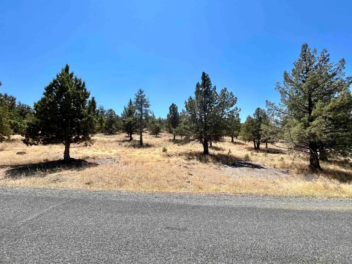 Unit 5-2 Lot 48 Browndeer Rd., Weed, CA 96094 - Image #1