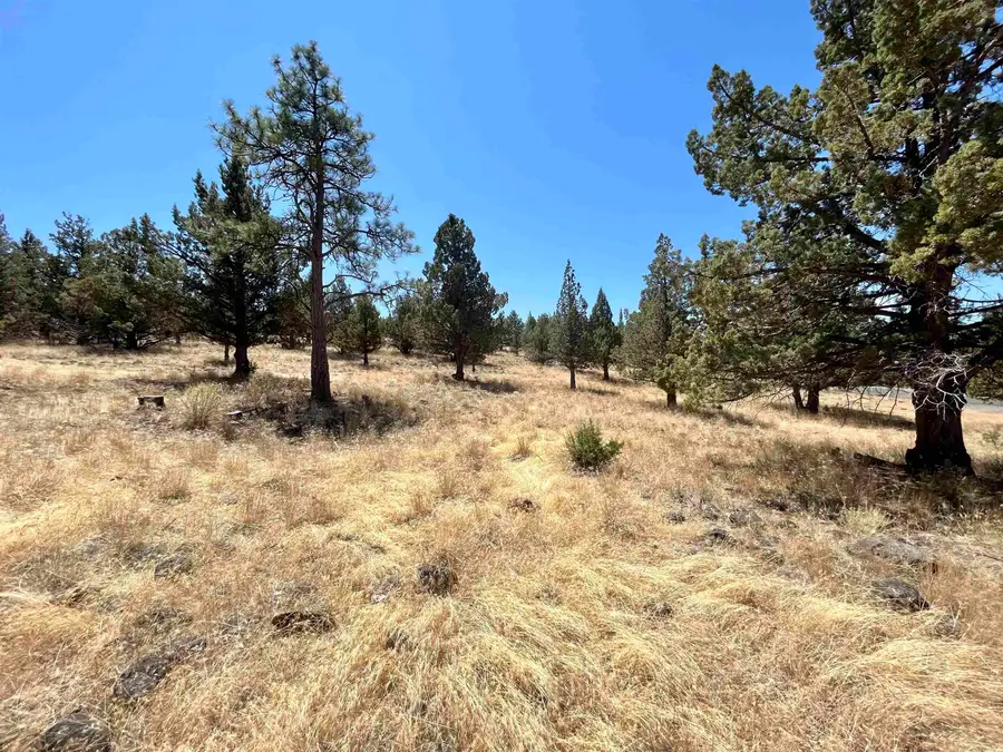 Unit 5-2 Lot 48 Browndeer Rd., Weed, CA 96094 - Image #2