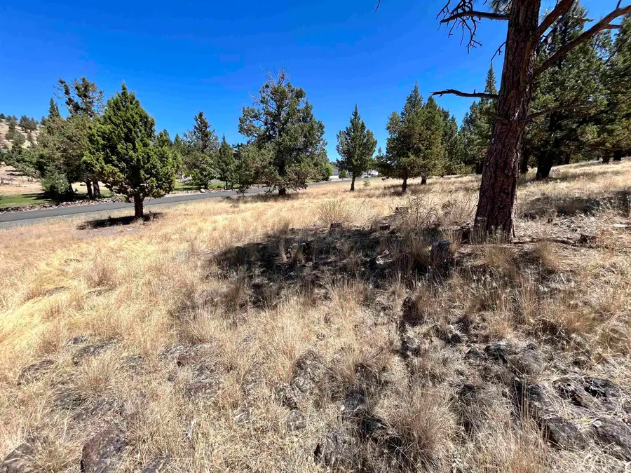 Unit 5-2 Lot 48 Browndeer Rd., Weed, CA 96094 - Image #3