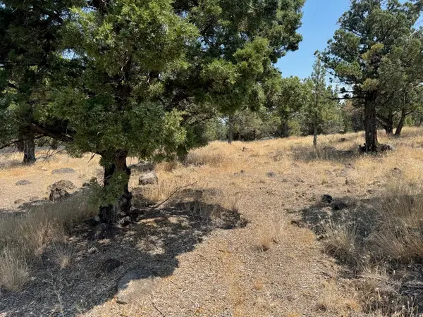 Unit 3 Lot 157 Dwinnell, Weed, CA 96094