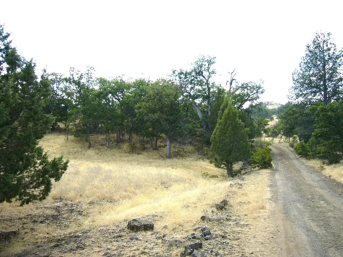 3.7 acre Quase Dr/Steelhead Circle, Hornbrook, CA 96044 - Image #1