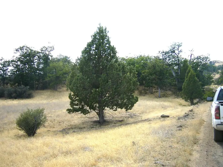 3.7 acre Quase Dr/Steelhead Circle, Hornbrook, CA 96044 - Image #2