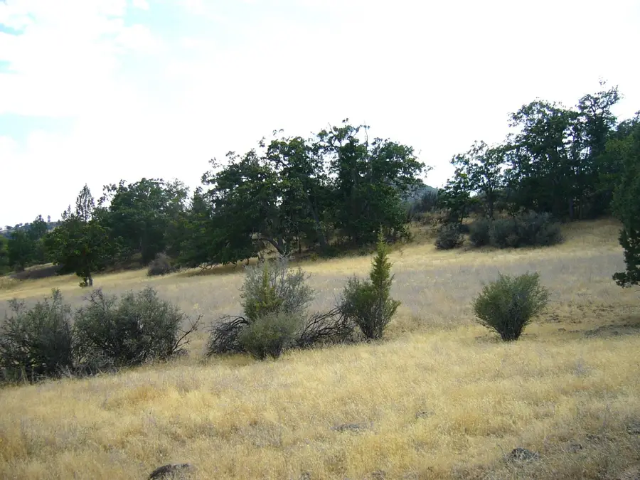 3.7 acre Quase Dr/Steelhead Circle, Hornbrook, CA 96044 - Image #3