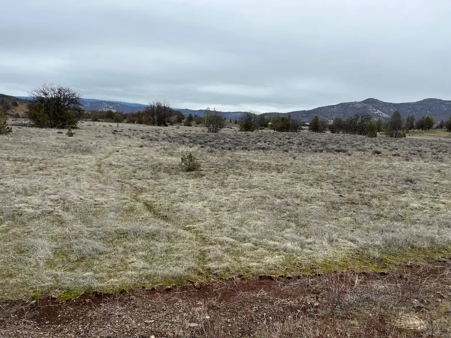 Unit 5 Lot 32 Desavado, Montague, CA 96064 - Image #3