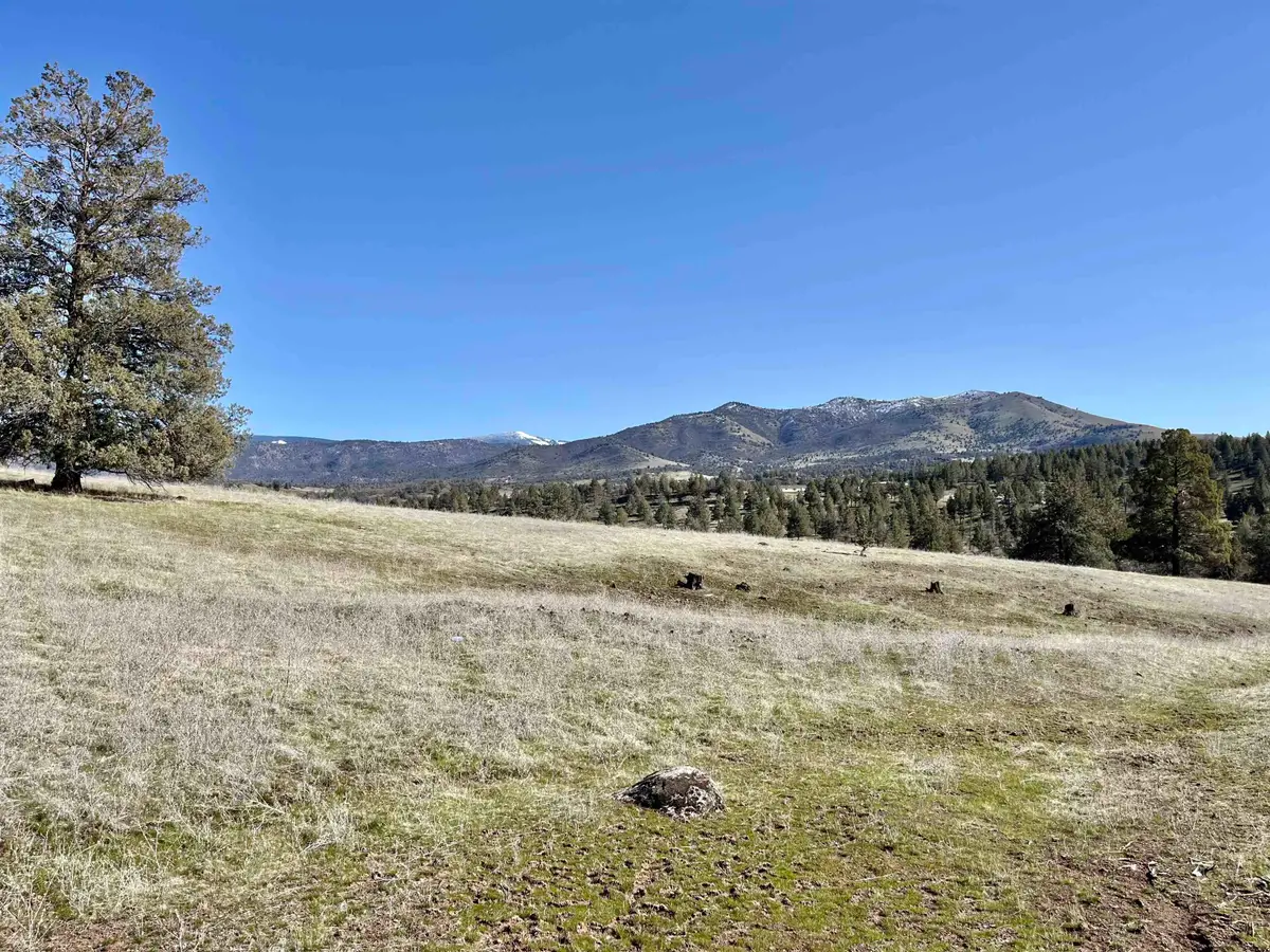 Lots 549 & 550 Blue Gill Dr., Montague, CA 96064 - Image #1