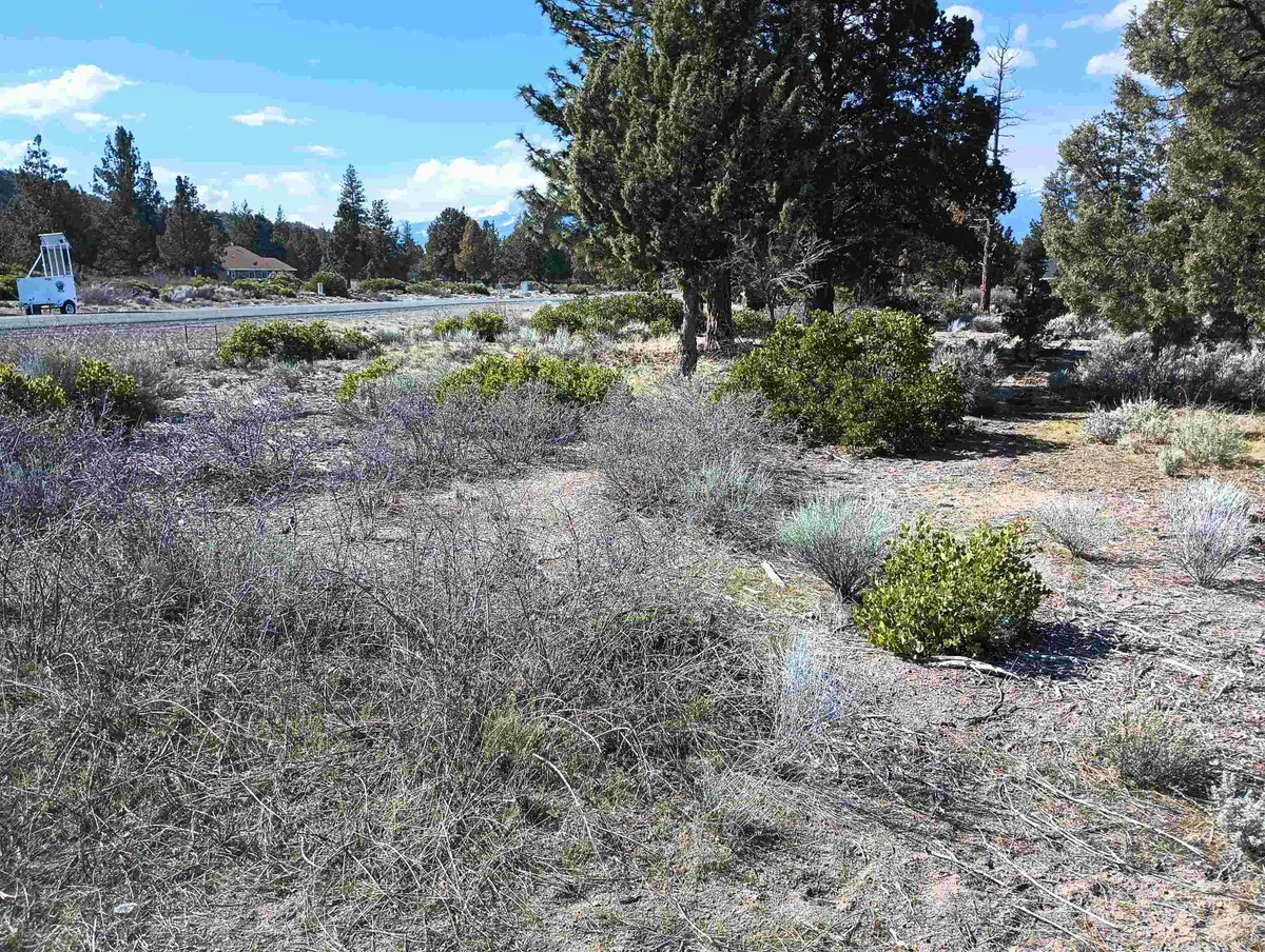 8-1/265 Rockwood Rd, Weed, CA 96094 - Image #1