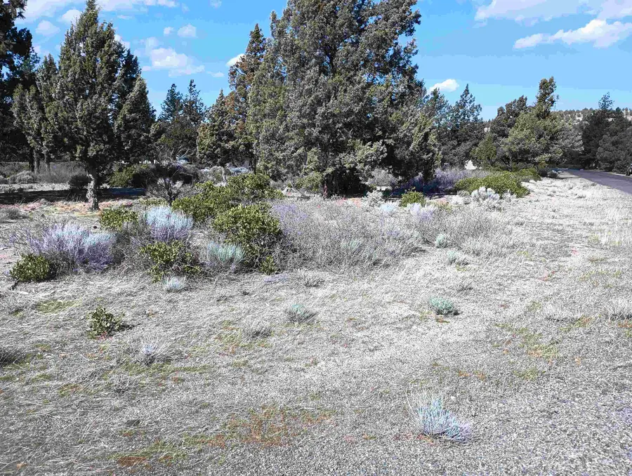 8-1/265 Rockwood Rd, Weed, CA 96094 - Image #2