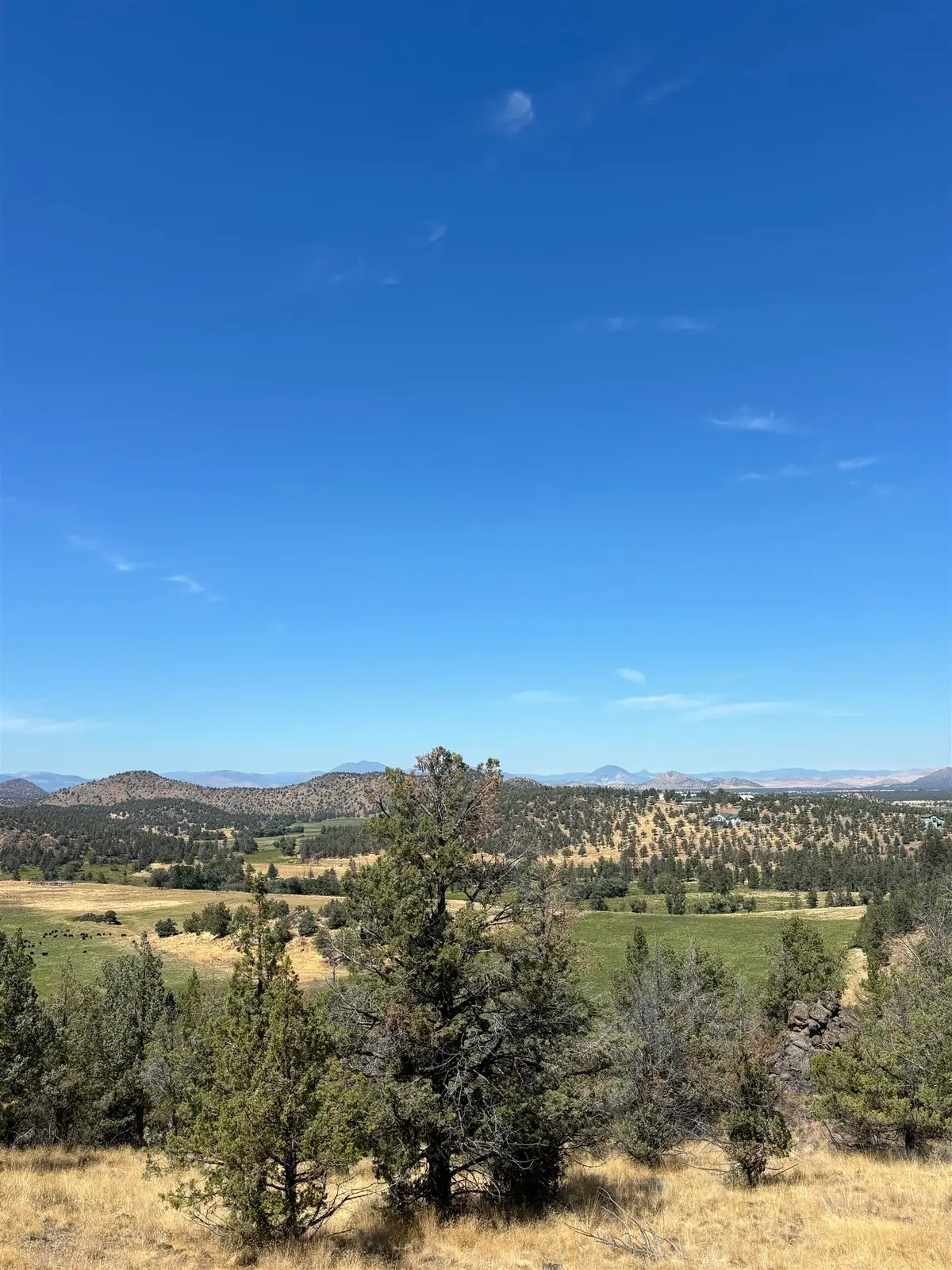 9-2, lot 295 Mountain Wood Dr, Weed, CA 96094 - Image #1