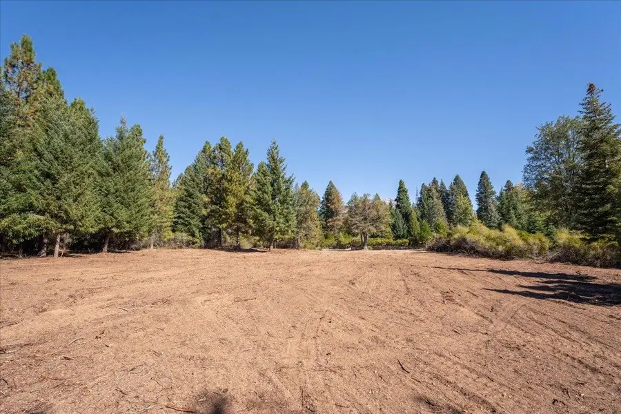 Lots 9 & 10 Conestoga Court, Mount Shasta, CA 96067 - Image #3