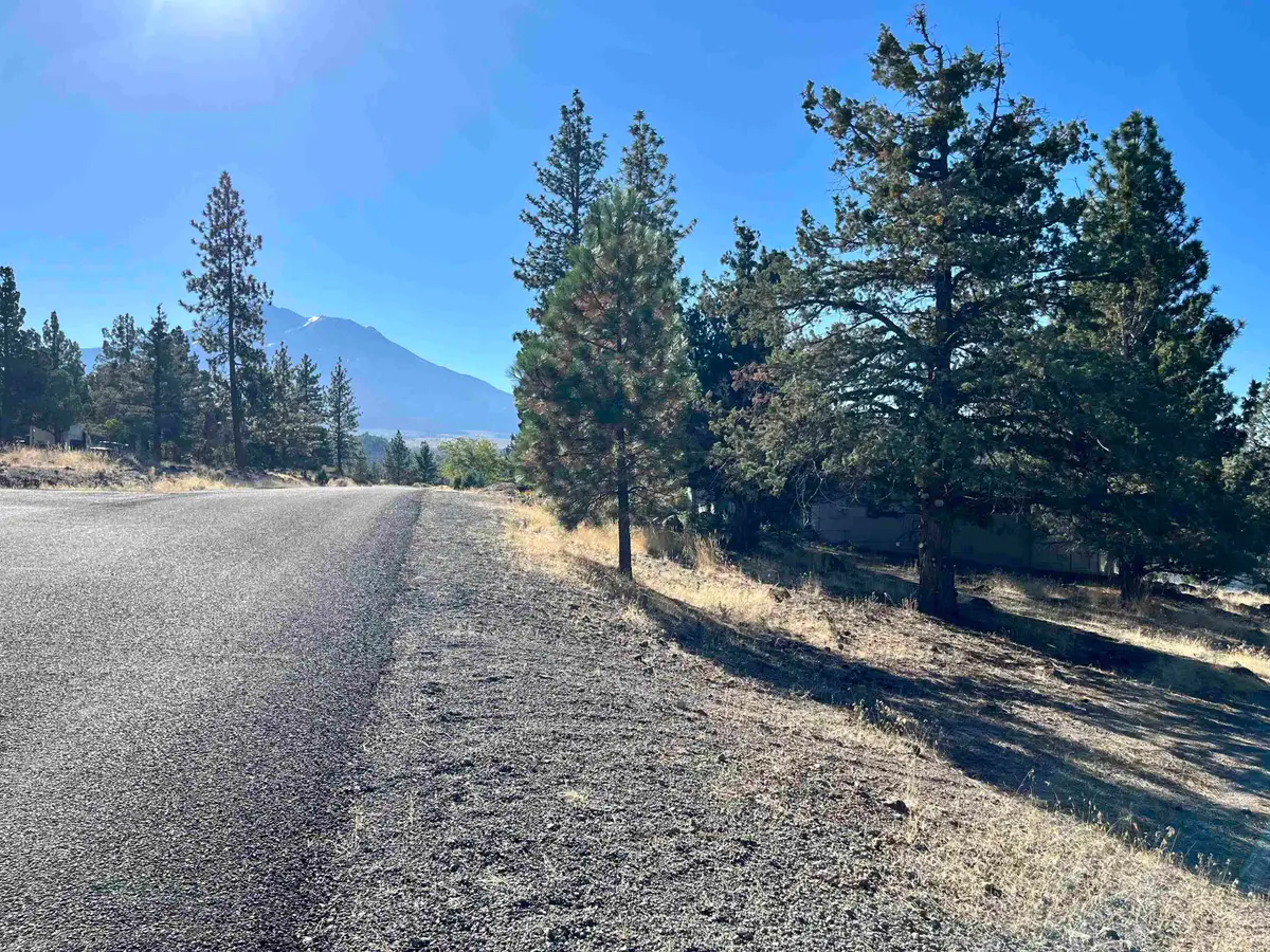 0000 Indian Hill Dr., Weed, CA 96094 - #1