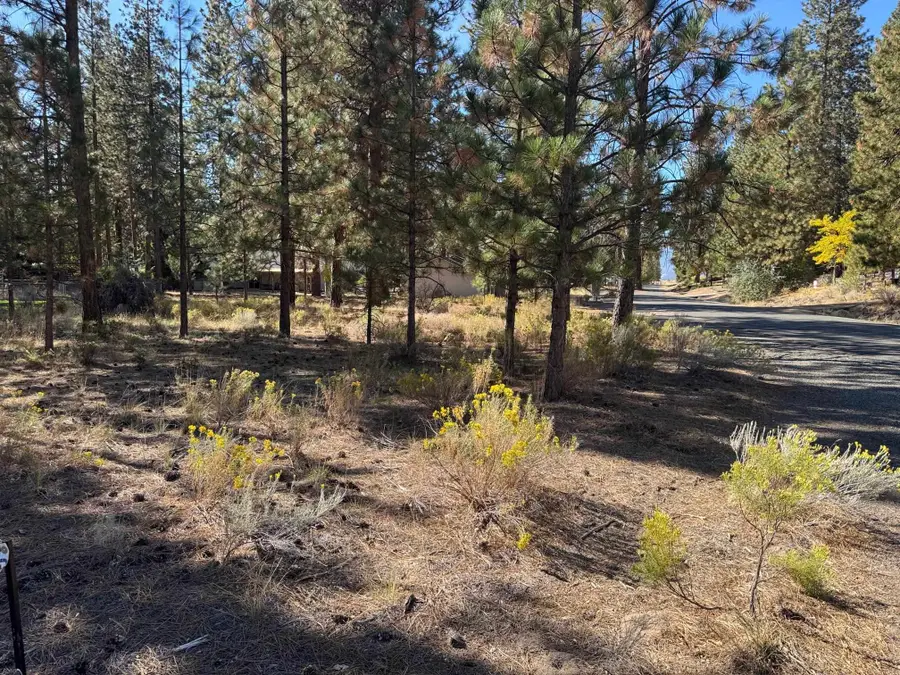 Unit 5-3 Lot 46 Brown Ct, Weed, CA 96094 - Image #2